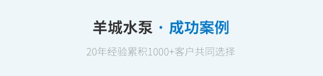 成功案例